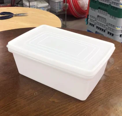 抗冲击保鲜盒（大冰块模具）