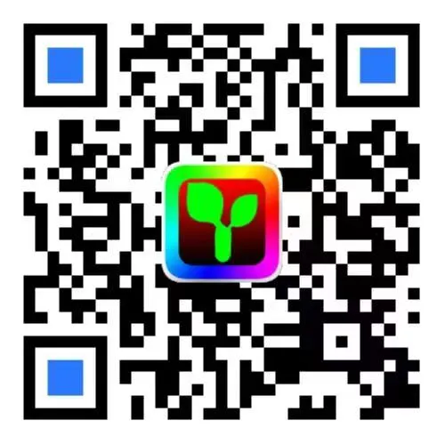 发光生日牌系列