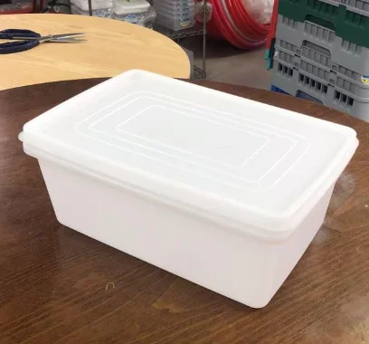 抗冲击保鲜盒（大冰块模具）