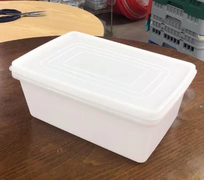 抗冲击保鲜盒（大冰块模具）