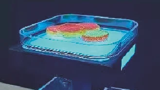 详情图 2