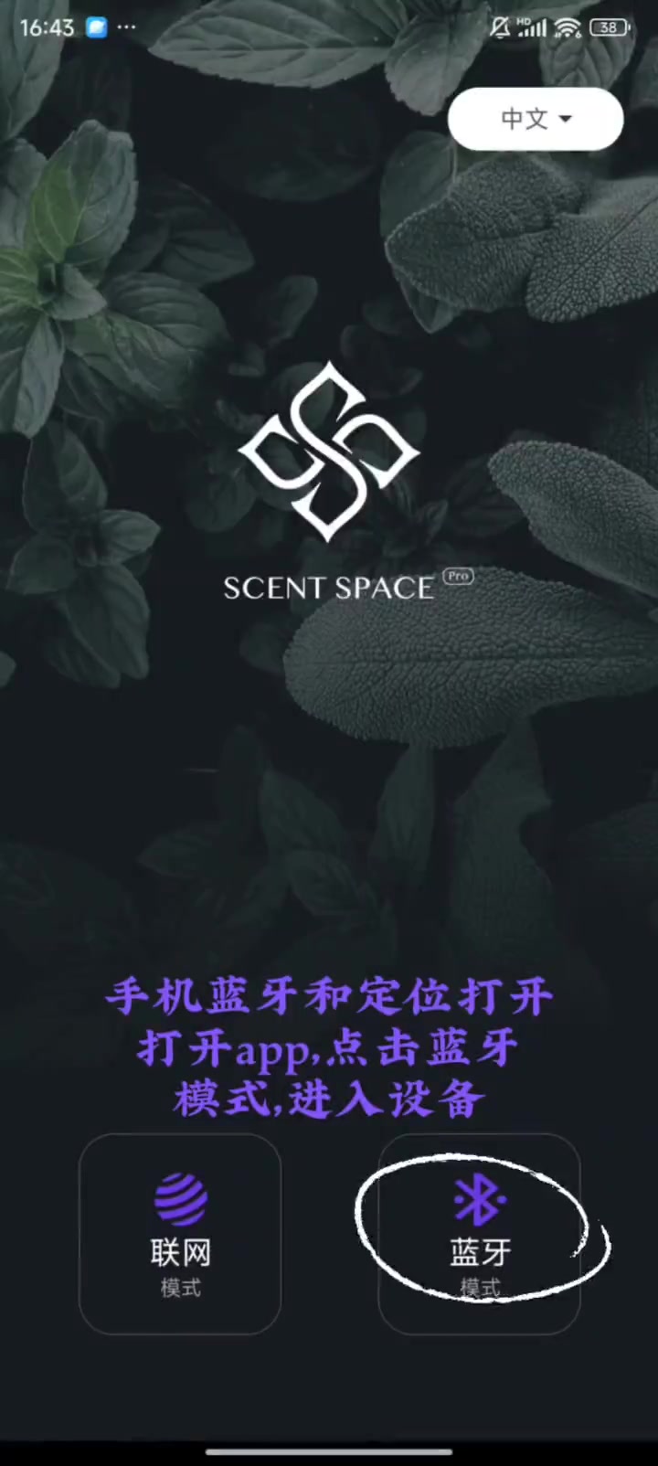 视频封面 4